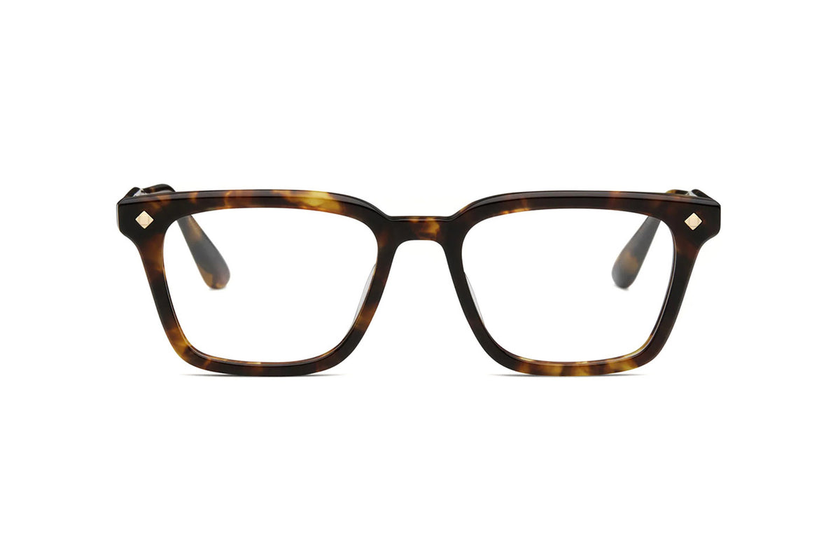 Architect / Medium Tortoise