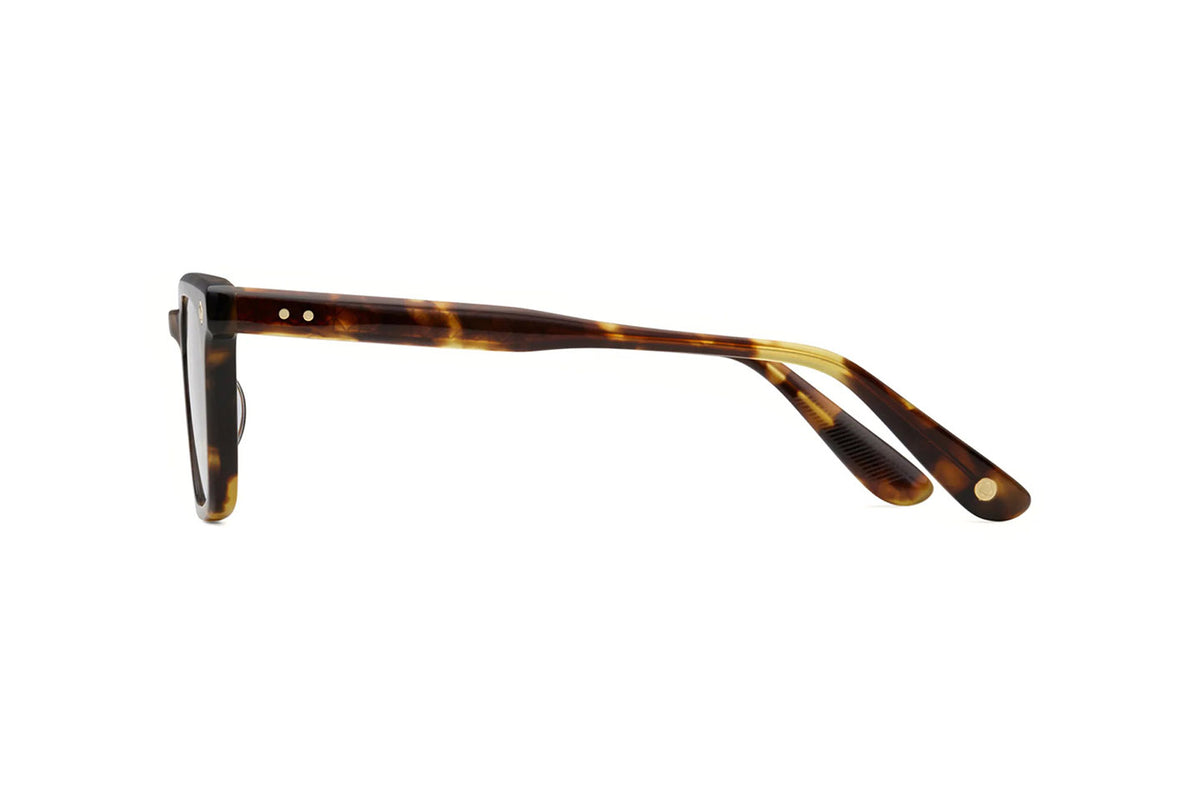Architect / Medium Tortoise